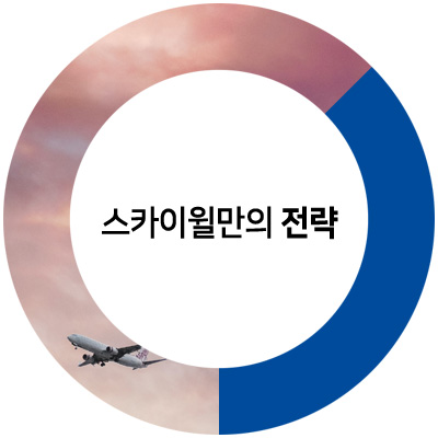 스카이윌